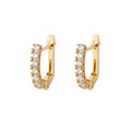 Arracada brillos.